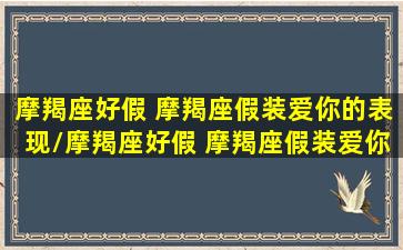 摩羯座好假 摩羯座假装爱你的表现/摩羯座好假 摩羯座假装爱你的表现-我的网站